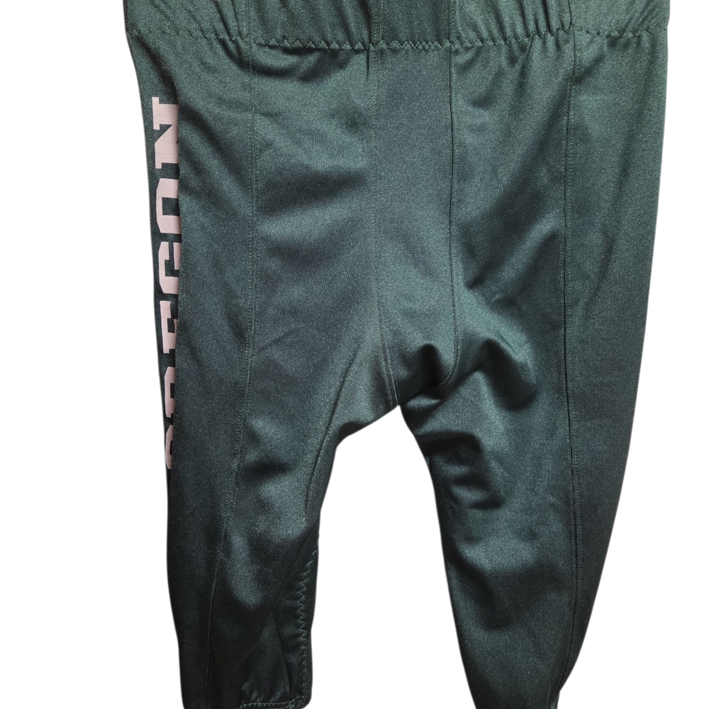 Nike Men's Oregon Football Pants - Picture 2 of 4